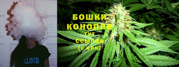 ГАЛЛЮЦИНОГЕННЫЕ ГРИБЫ Остров