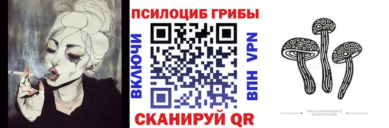 Галлюциногенные грибы Magic Shrooms  mega ссылка  Борзя  купить наркотик 