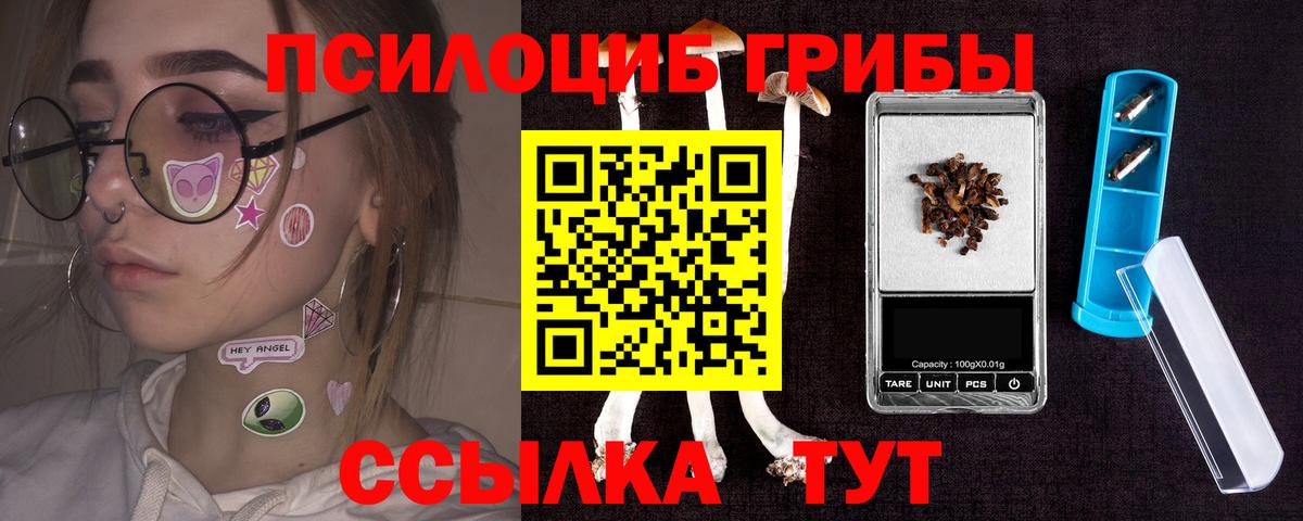 Псилоцибиновые грибы мицелий  Вход с VPN  Псилоцибиновые грибы Psilocybine cubensis  Борзя 