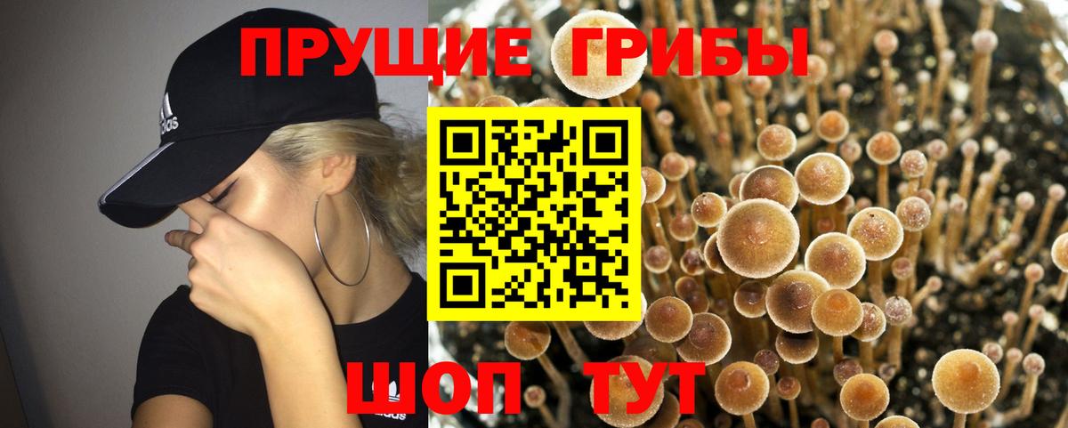 Галлюциногенные грибы прущие грибы Борзя