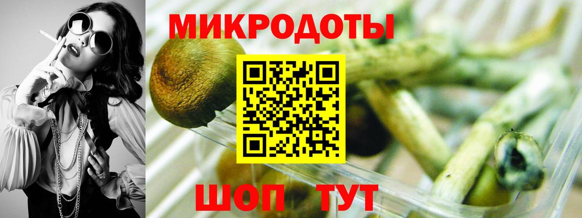 Купить наркотики  ГАШ  МЕФ  COCAIN  Бошки Шишки  Борзя  Экстази  LSD-25  Вход с VPN  Гашиш  МЕФ кристаллы 